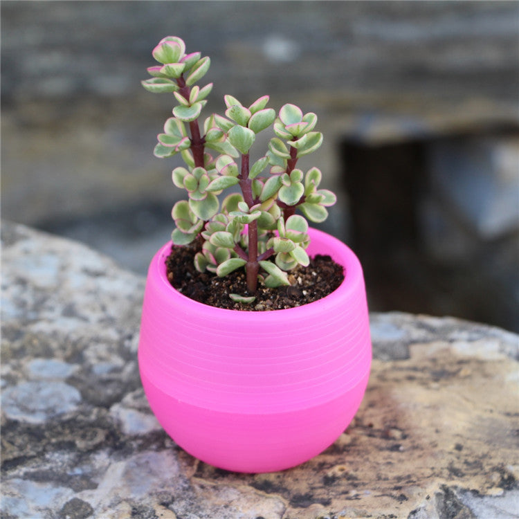 Succulents Flower Pots Mini Flower Pots Plastic Imitation Ceramic Stone Pill Flower Pots Color Full Resin Flower Pots