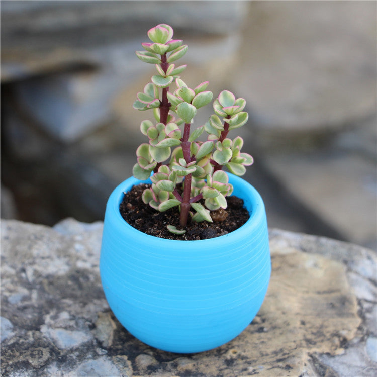Succulents Flower Pots Mini Flower Pots Plastic Imitation Ceramic Stone Pill Flower Pots Color Full Resin Flower Pots