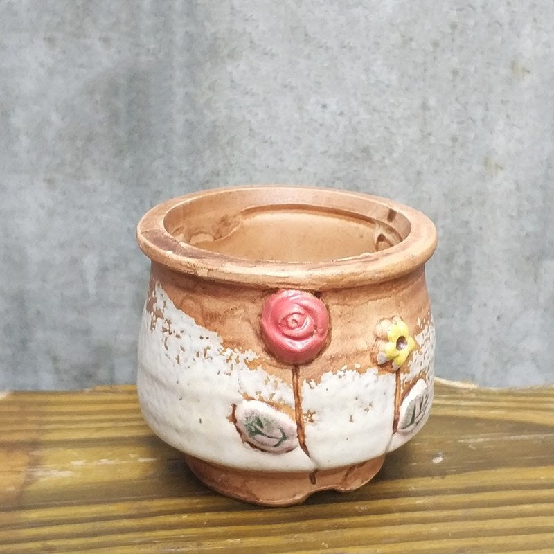 Controlled Leaf Insert Ceramic Fleshy Planter